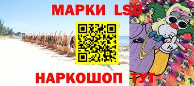 кокс Гатчина