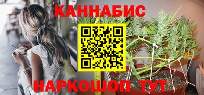 кокс Гатчина