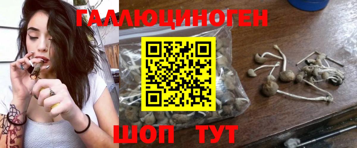 Нефтеюганск  Галлюциногенные грибы Cubensis  Вход с VPN 